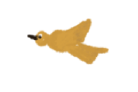 burung